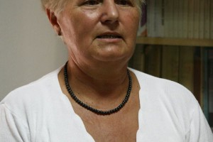 Saniranje krova Doma učenika "dr Rehak Laslo"