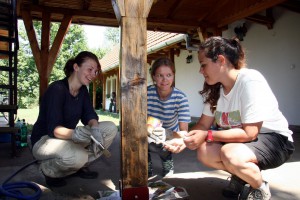 Volonterski radni kamp na teritoriji prirodnog rezervata Ludaš