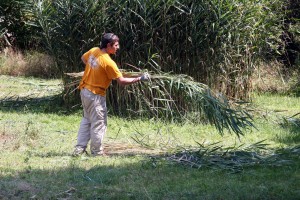 Volonterski radni kamp na teritoriji prirodnog rezervata Ludaš