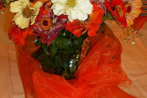 Adaptacija Gerontološkog kluba "Centar II"