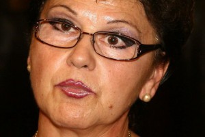 Projekat Evropske unije "Otvoreni zagrljaj"