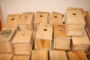 Prezentovan projekat Riparie