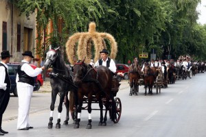 Dužijanca 2013 - Crkvena ceremonija