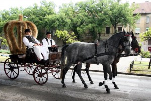 Dužijanca 2013 - Crkvena ceremonija