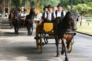 Dužijanca 2013 - Crkvena ceremonija