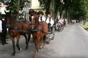 Dužijanca 2013 - Crkvena ceremonija