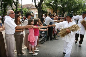 Dužijanca 2013 - Povorka kroz grad