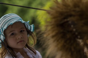 Dužijanca 2013 - Malo drugačije