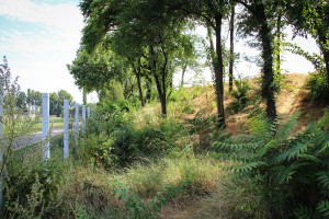 Uređivanje stadiona pred početak sezone fudbalskog prvenstva