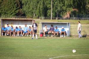 Fudbal: FK "Palić" - FK "Radnički" Sombor (Srpska liga Vojvodina)