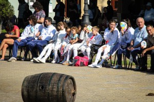 Proslava Dana grada - Žikina šarenica