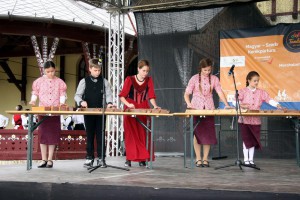 Biciklijada "Mađarsko - srpski tandem"