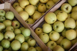 IX Međunarodni festival organskih proizvoda - “Biofest”