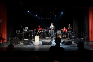 Festival "Omladina 2013"