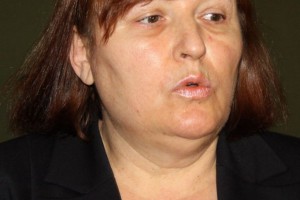 3D seizmička ispitivanja na prostoru u okolini Subotice