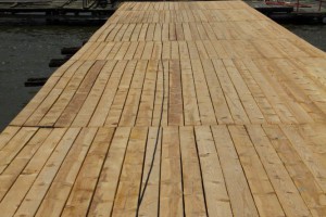 Gradonačelnik Subotice u obilasku radova na Paliću