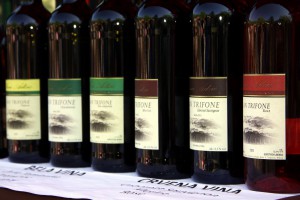 Otvaranje šeste Butkicijade