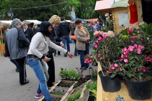 Vašar cveća kod Plave fontane