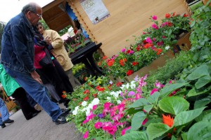 Vašar cveća kod Plave fontane