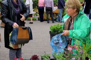 Vašar cveća kod Plave fontane