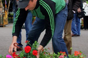 Vašar cveća kod Plave fontane