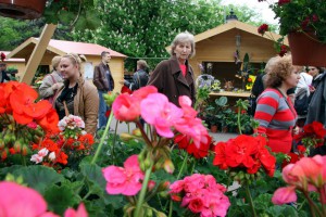 Vašar cveća kod Plave fontane