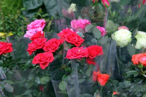 Vašar cveća kod Plave fontane