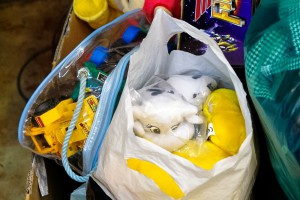 Prikupljanje pomoći za sugrađane pogođene poplavama