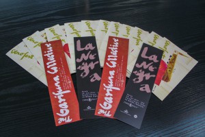 Najava 11. Etnofesta