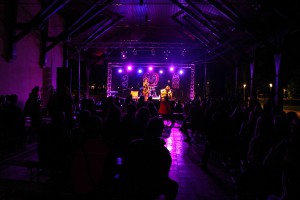 11. Etnofest (prvi dan)