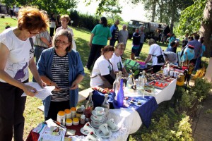 Manifestacija u okviru proslave Dana Nikole Tesle u Subotici