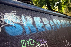 Promocija subotičke scene ekstremnih sportova