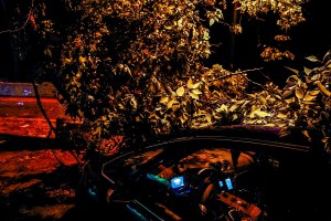 Snažno nevreme rušilo stabla u Subotici