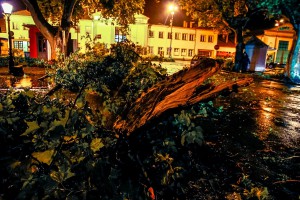 Snažno nevreme rušilo stabla u Subotici