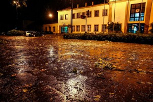 Snažno nevreme rušilo stabla u Subotici