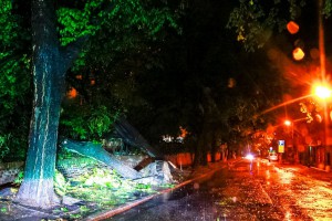 Snažno nevreme rušilo stabla u Subotici