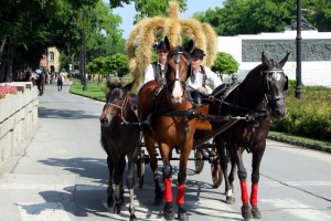 Dužijanca 2014 - Centralna manifestacija - Misa zahvalnica