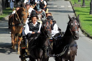 Dužijanca 2014 - Centralna manifestacija - Misa zahvalnica