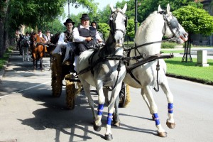 Dužijanca 2014 - Centralna manifestacija - Misa zahvalnica
