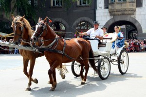 Dužijanca 2014 - Centralna manifestacija - Svečanost na Gradskom trgu