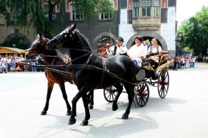 Dužijanca 2014 - Centralna manifestacija - Svečanost na Gradskom trgu