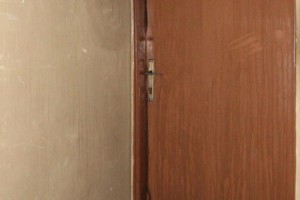 Požar na Teslinom naselju