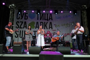 Dan grada 2014: Obeležavanje u centru grada