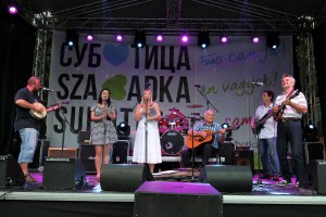 Dan grada 2014: Obeležavanje u centru grada