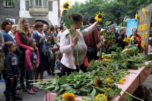 Obeležavanje Dana suncokreta