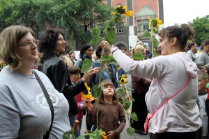 Obeležavanje Dana suncokreta