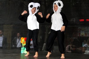 Obeležavanje Dana suncokreta