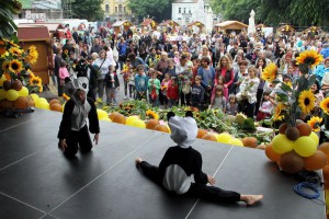 Obeležavanje Dana suncokreta