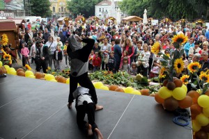 Obeležavanje Dana suncokreta