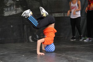 Obeležavanje Dana suncokreta